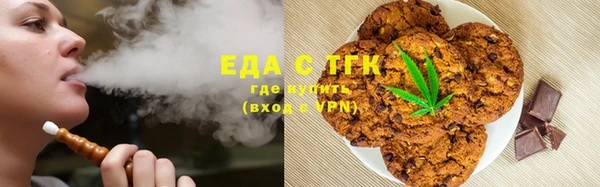 мдпв Богородск