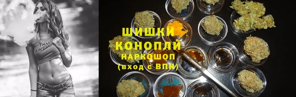 кокс Богородицк