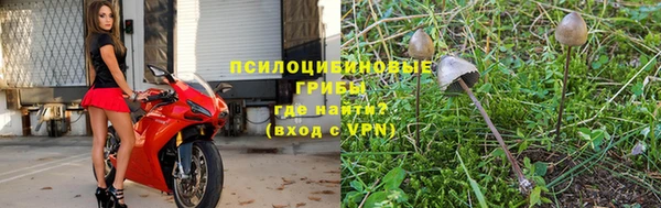 мдпв Богородск