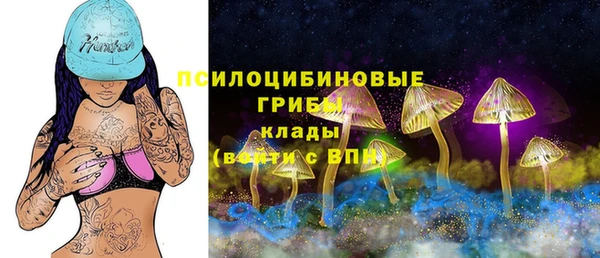 кокс Богородицк