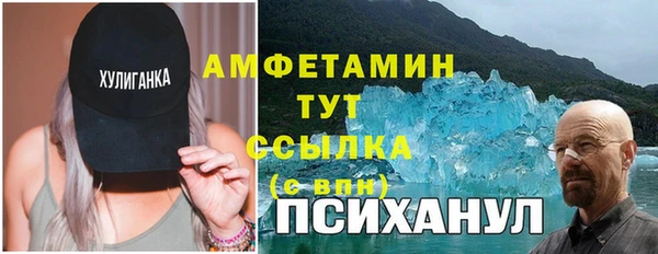 мдпв Богородск
