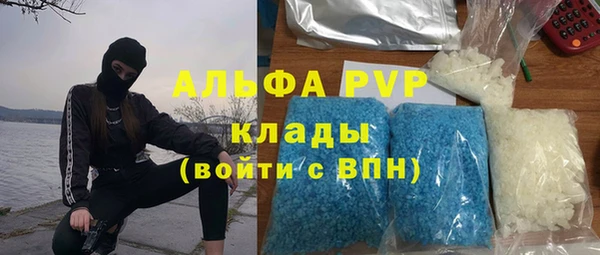 мдпв Богородск