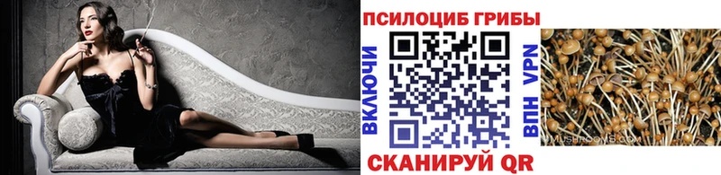 Галлюциногенные грибы ЛСД  Снежногорск 