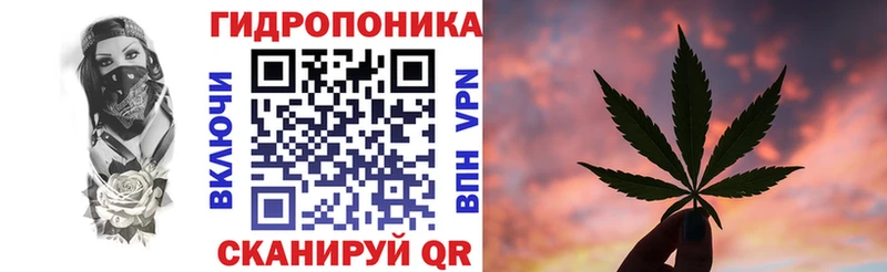 закладка  Снежногорск  Канабис MAZAR 